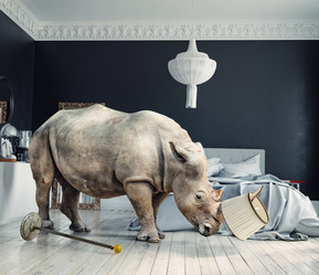 Similar image 21917173