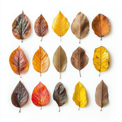 Similar image 21918291