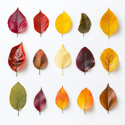 Similar image 21918292