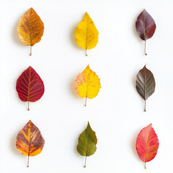 Similar image 21918294