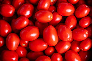 Similar image 21916991