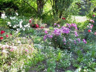 Similar image 21933706