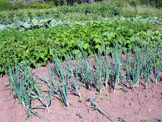 Similar image 21933707