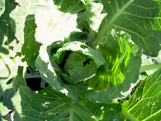 Similar image 21933708