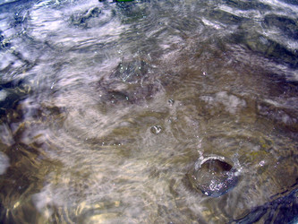 Similar image 21933709