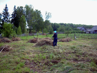 Similar image 21934819