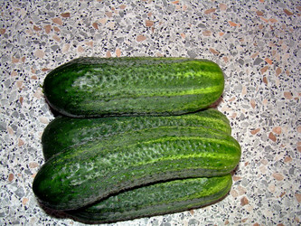 Similar image 21933320