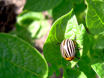 Similar image 21933321