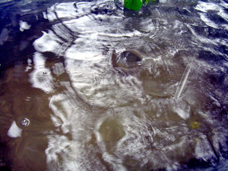 Similar image 21933713