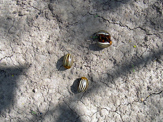 Similar image 21933714