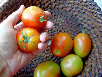 Similar image 21933322