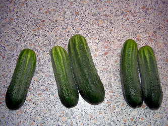 Similar image 21933323