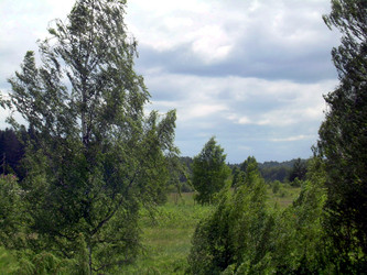 Similar image 21933716