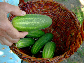 Similar image 21933325