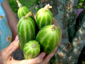 Similar image 21933326