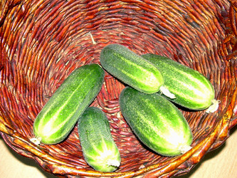 Similar image 21933327