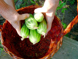 Similar image 21933328