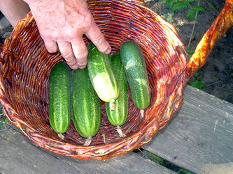 Similar image 21933329