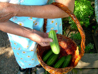 Similar image 21933330