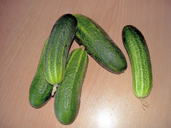 Similar image 21933332