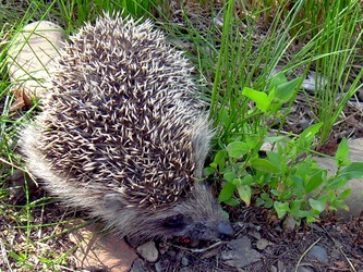 Similar image 21933334