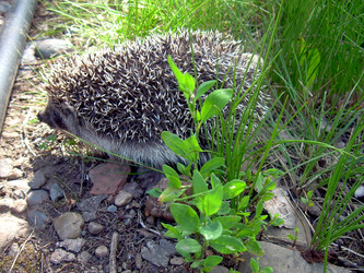 Similar image 21933335