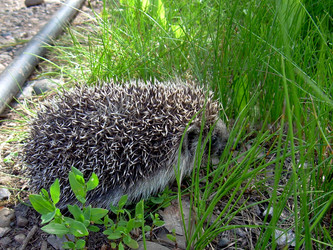 Similar image 21933336