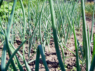 Similar image 21933717