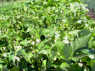 Similar image 21933719