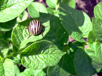 Similar image 21933337