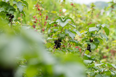 Similar image 21939289