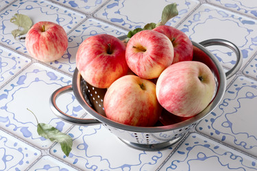 Similar image 21918315