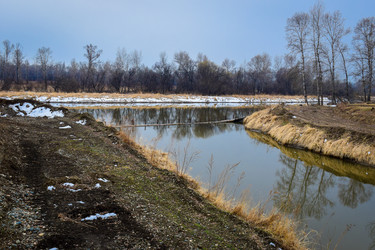 Similar image 21918323