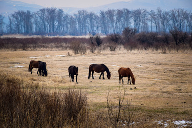 Similar image 21918325