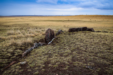 Similar image 21918327