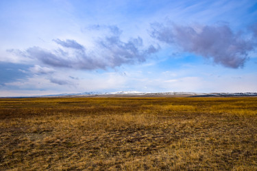 Similar image 21918333