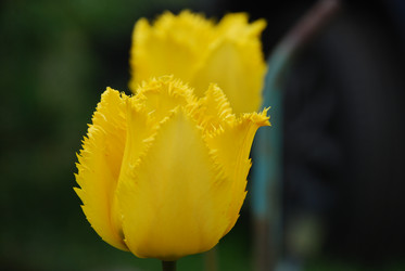 Similar image 21918364