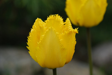 Similar image 21918366