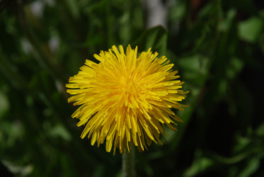 Similar image 21918367