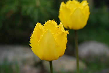 Similar image 21918368