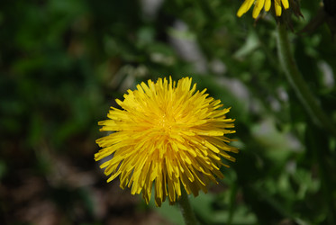 Similar image 21918369