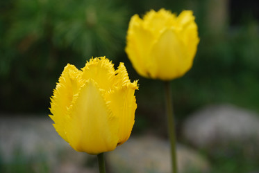 Similar image 21918370