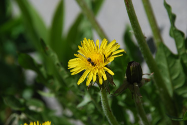 Similar image 21918371