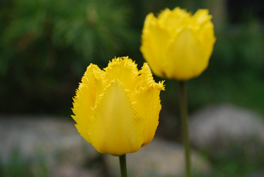 Similar image 21918372