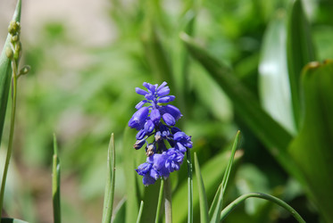 Similar image 21918373