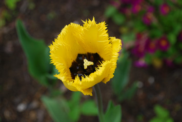 Similar image 21918374