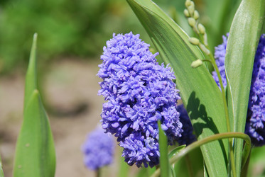 Similar image 21918375