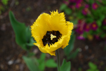 Similar image 21918376