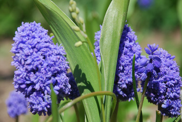 Similar image 21918377