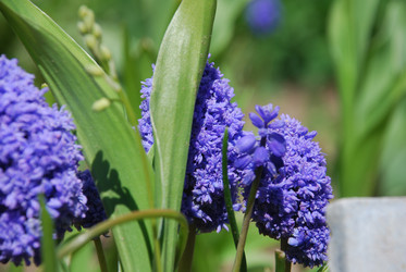 Similar image 21918378